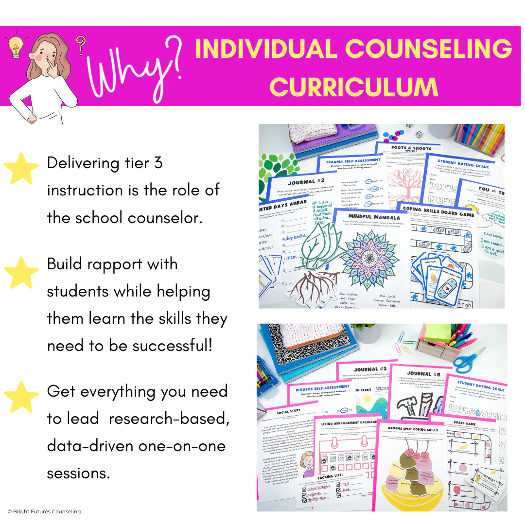 Individual Counseling Curriculum Bundle - 11 Individual Counseling Curricula - Image 3