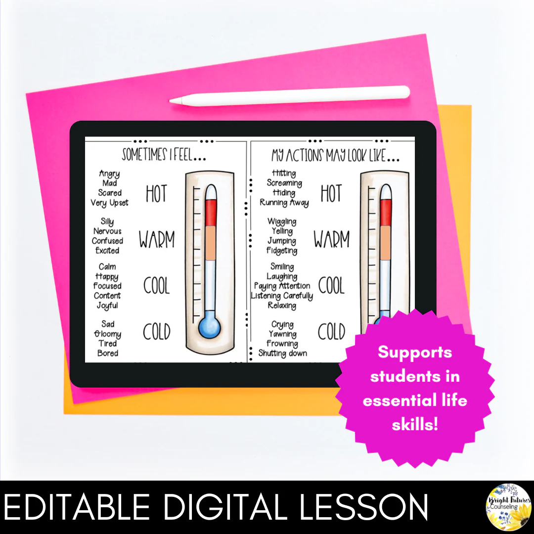 SELF-REGULATION Guidance Lesson - Editable Class Lesson - Image 3
