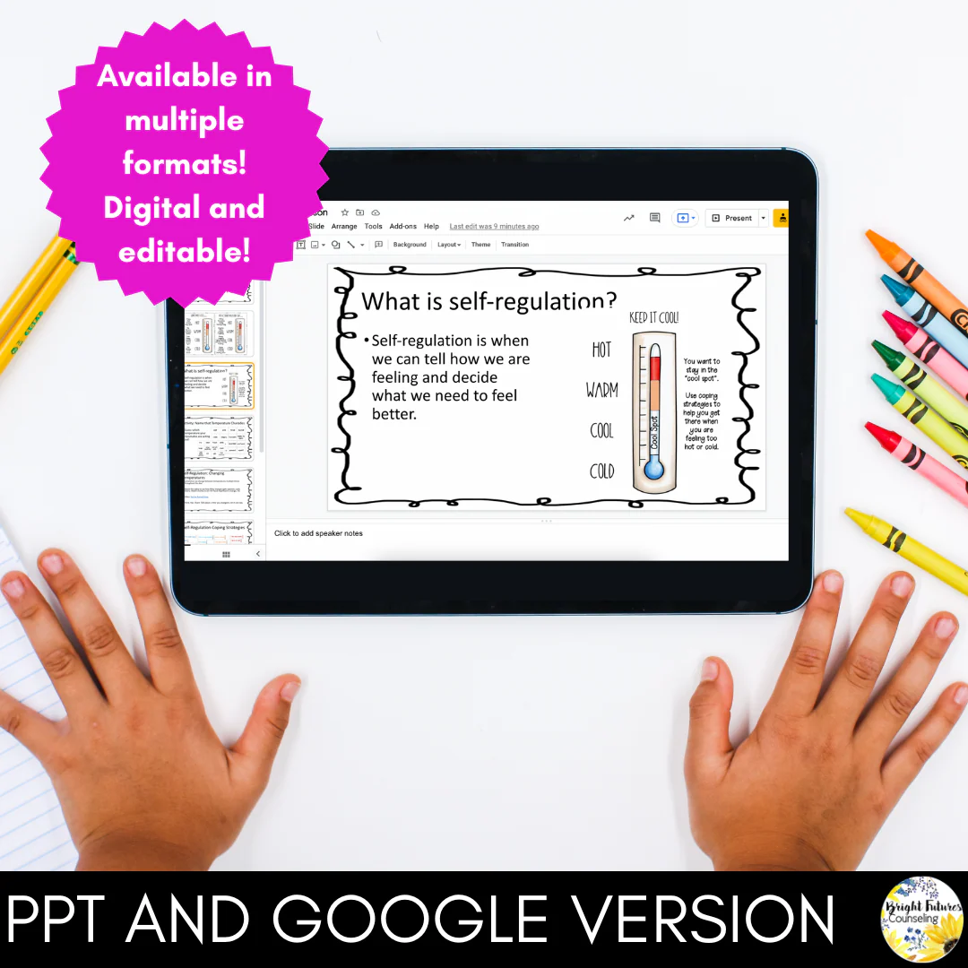 SELF-REGULATION Guidance Lesson - Editable Class Lesson - Image 6
