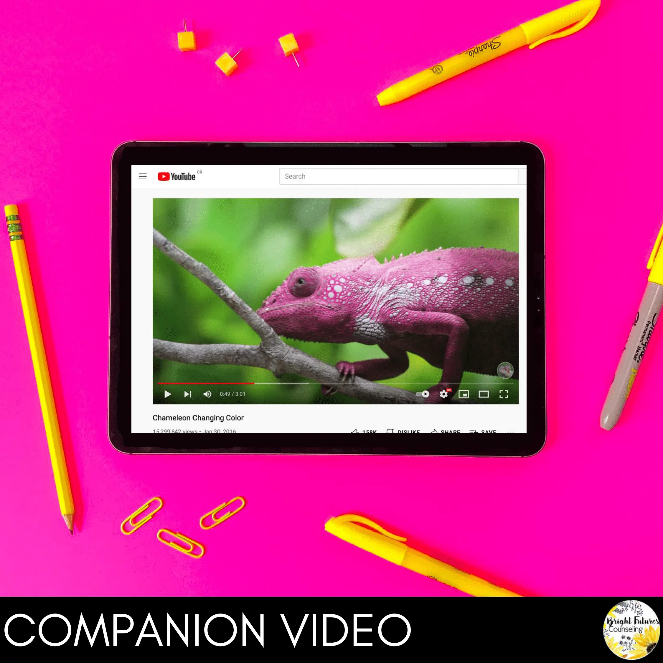 Self-Regulation Lesson - What Color is Your Chameleon? Counseling Activity - Image 7