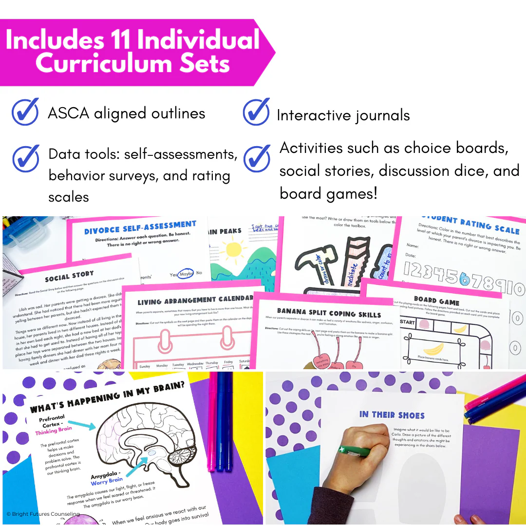 3 Tier Comprehensive Counseling Curriculum with Lessons, Groups, and Individual - Image 7