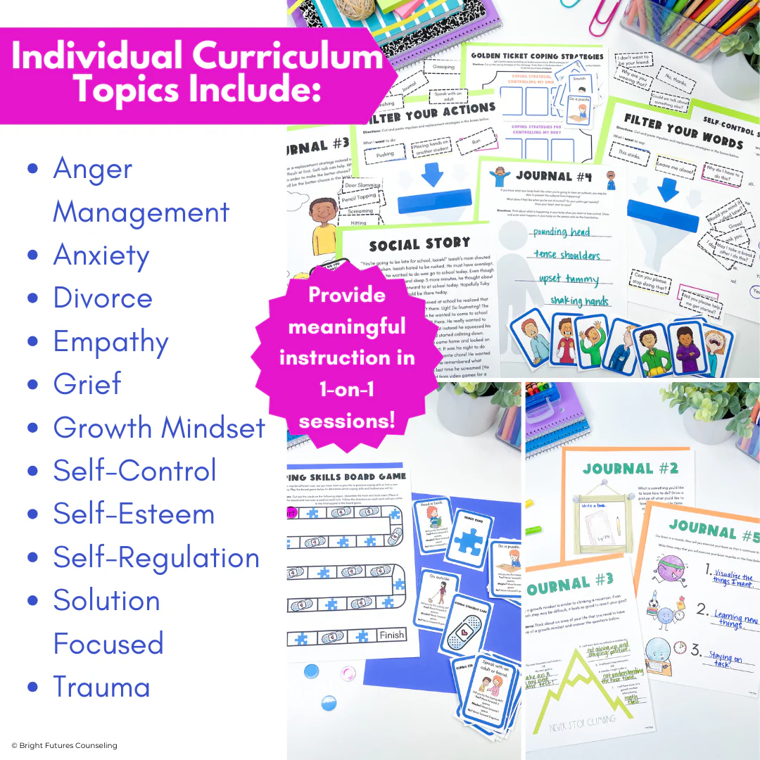 3 Tier Comprehensive Counseling Curriculum with Lessons, Groups, and Individual - Image 8